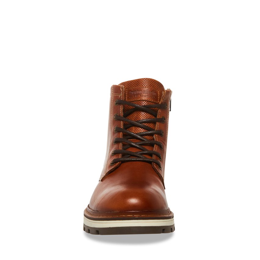 Brown Steve Madden Lucius Leather Men's Ankle Boots | PH 6520JOL